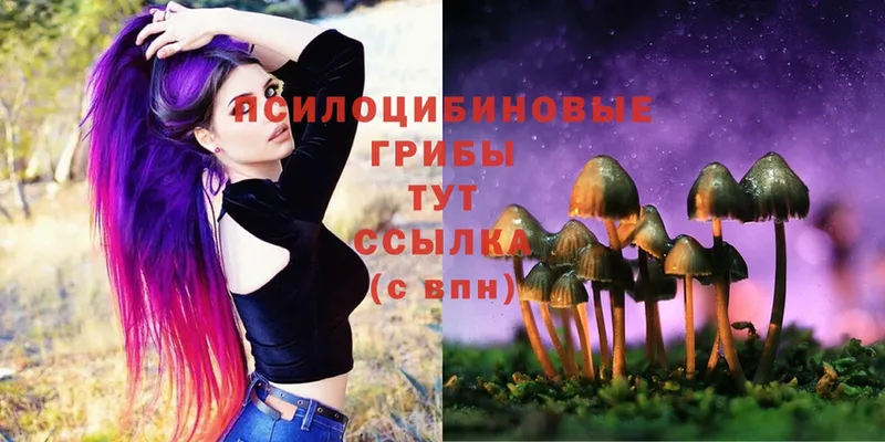 Галлюциногенные грибы MAGIC MUSHROOMS  Северская 